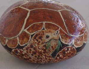 chewingboxturtle.gif