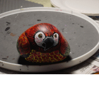 littlefatparrot.gif